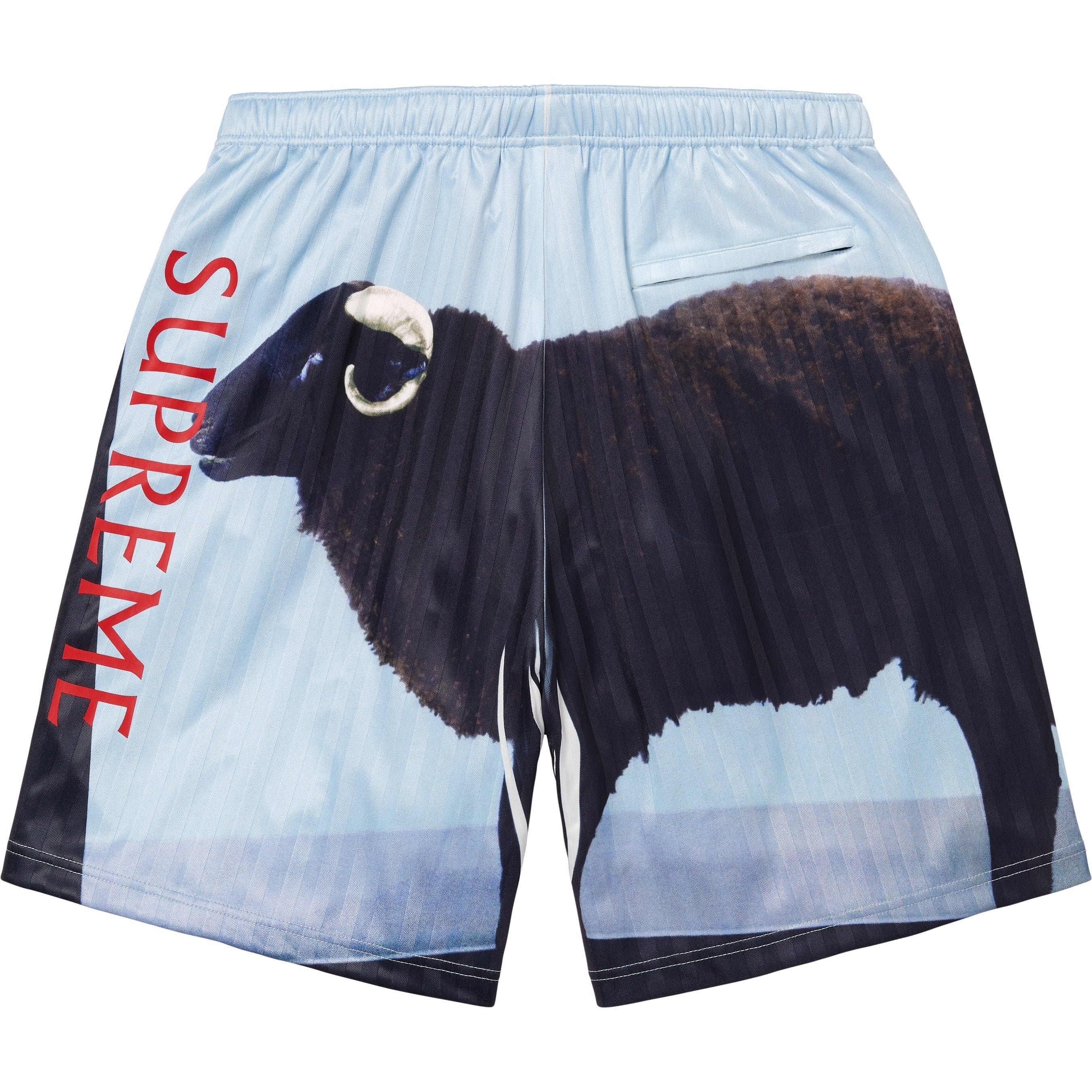 Supreme/Damien Hirst Soccer Short view 10